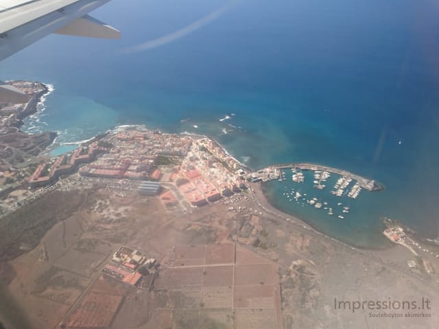 Leidžantis, Tenerifės pakrantė