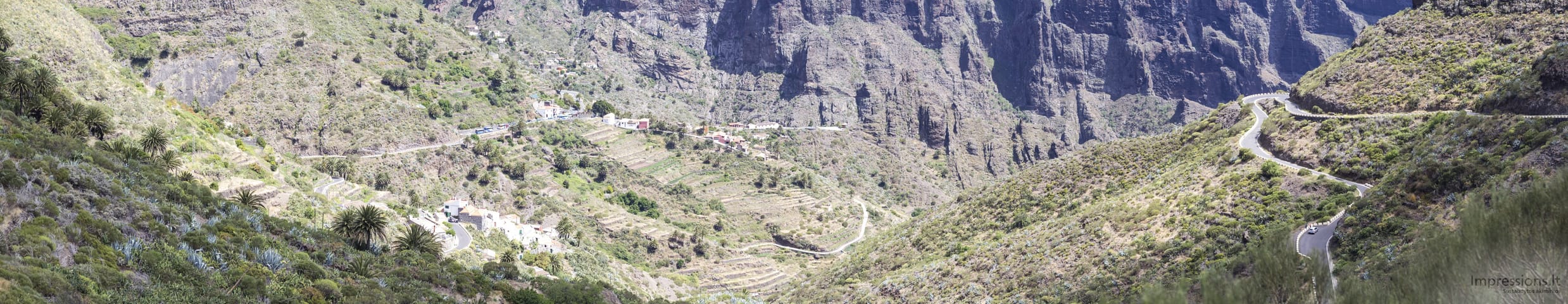 Tenerifė