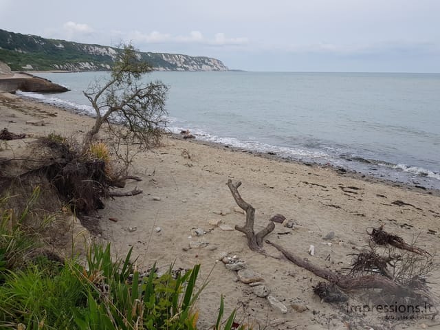 Sekmadienis Folkestone