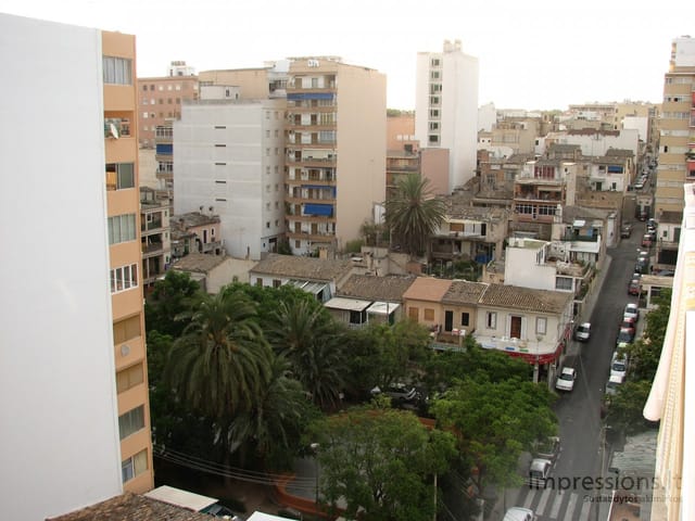 Maljorka: Palmos įlanka, sostinė Palma