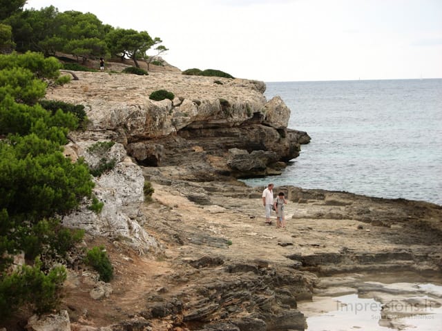 Maljorka: Palmos įlanka, sostinė Palma