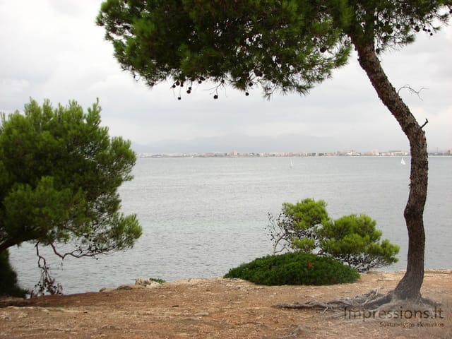 Maljorka: Palmos įlanka, sostinė Palma