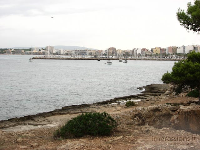 Maljorka: Palmos įlanka, sostinė Palma
