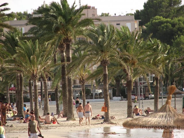 Maljorka: Palmos įlanka, sostinė Palma