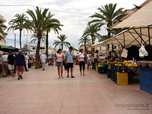 Maljorka: Palmos įlanka, sostinė Palma