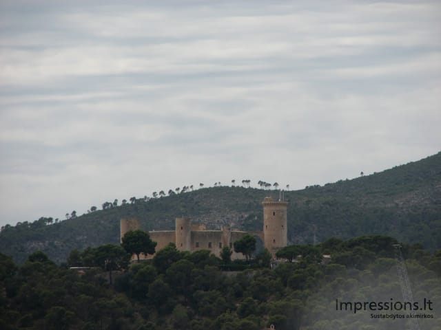 Maljorka: Palmos įlanka, sostinė Palma