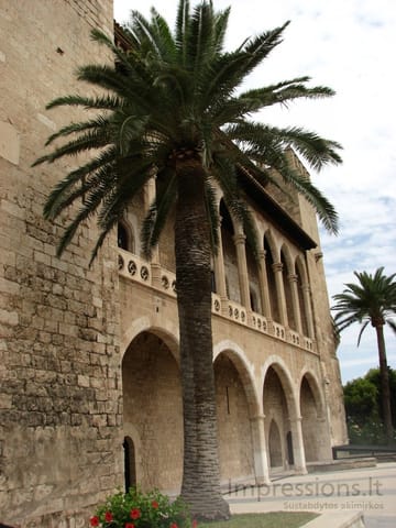 Maljorka: Palmos įlanka, sostinė Palma