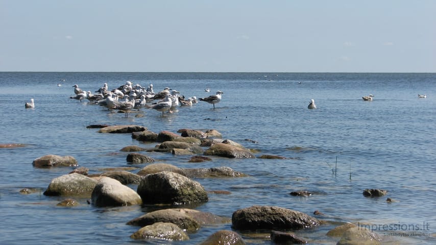 Lietuvos Kuršių Nerija