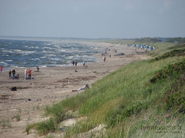 Lietuvos Kuršių Nerija