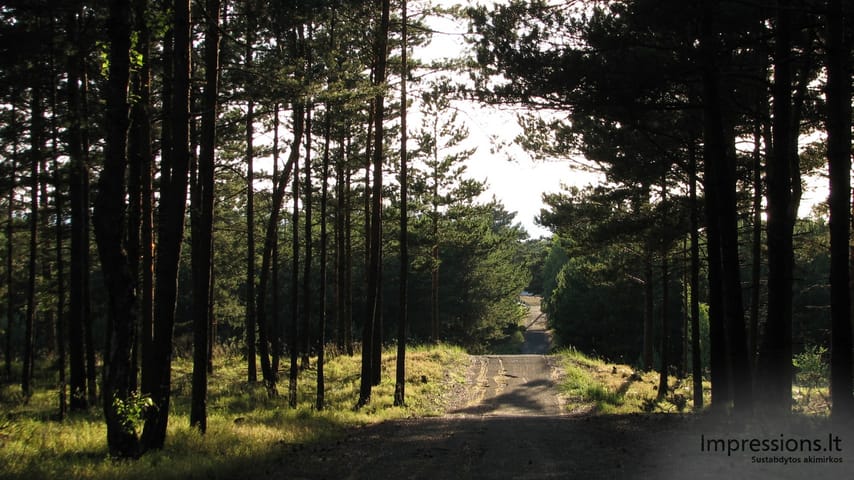 Lietuvos Kuršių Nerija