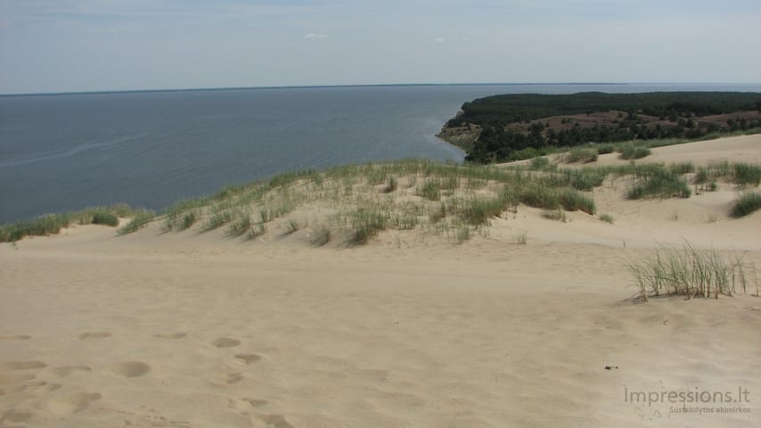 Lietuvos Kuršių Nerija