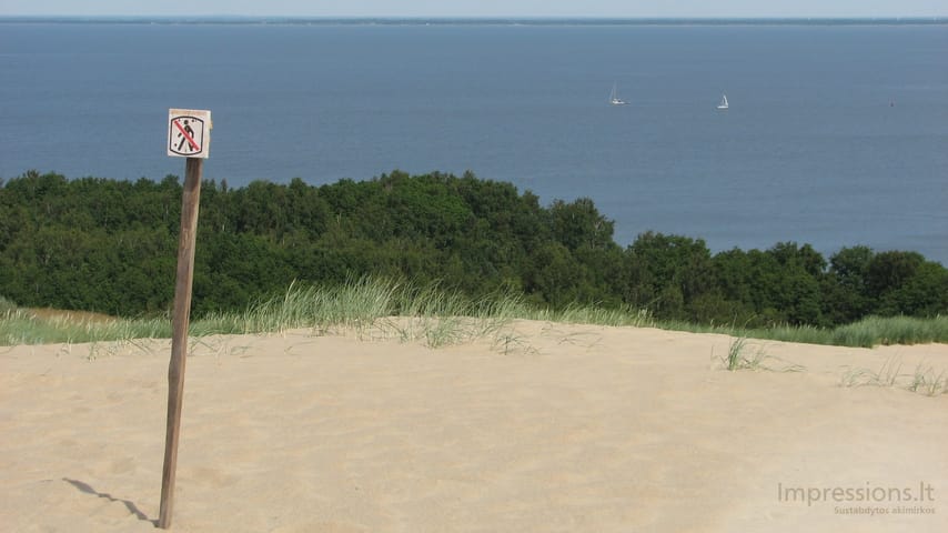 Lietuvos Kuršių Nerija