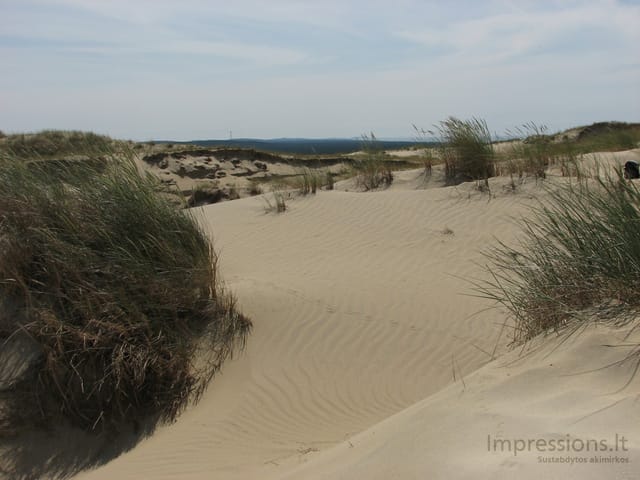 Lietuvos Kuršių Nerija