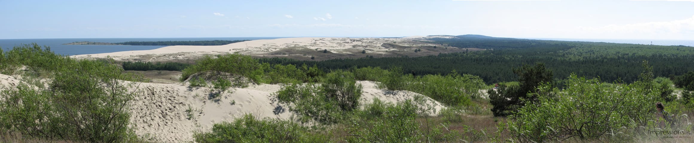 Lietuvos Kuršių Nerija