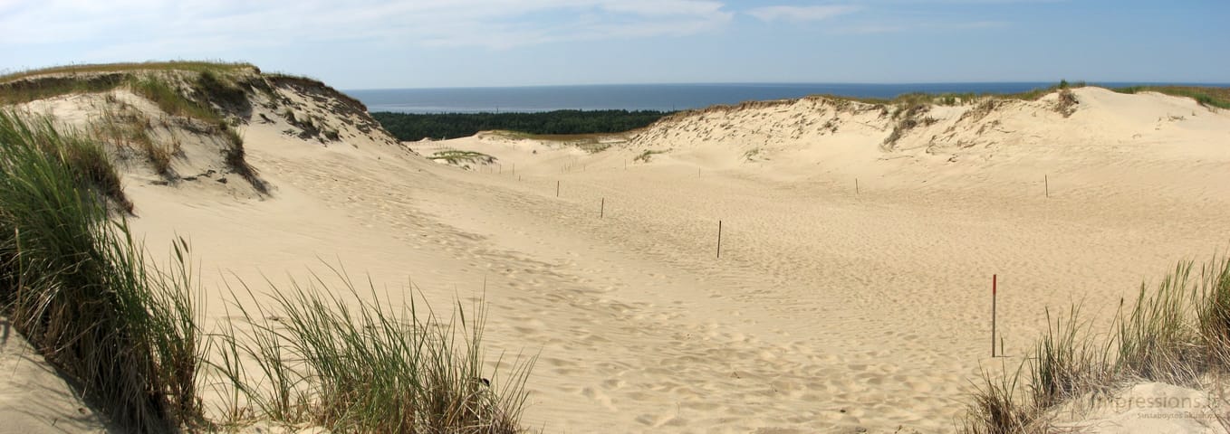 Lietuvos Kuršių Nerija
