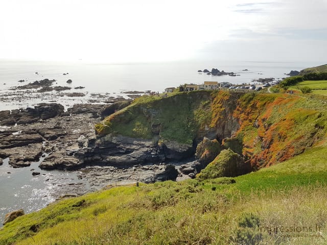 Lizard Point