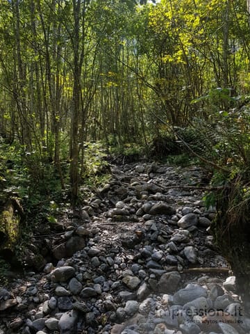 Pasivaikščiojimai po Alpes
