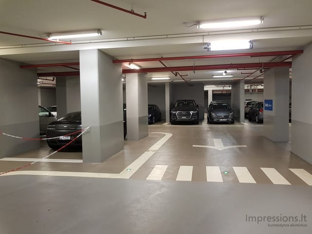 Dažytų grindų švarutėliai garažai